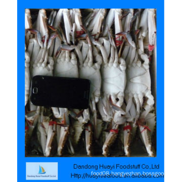 wholesale crabs